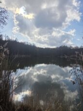 Bílichovský rybník